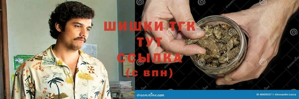 амф Новодвинск