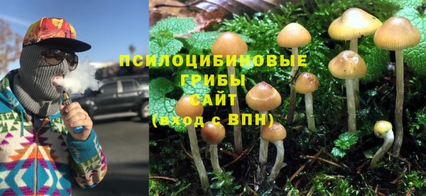 марки lsd Новозыбков
