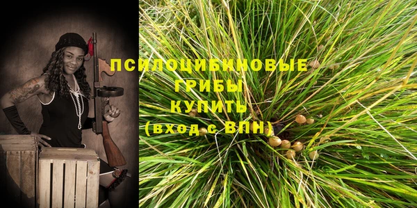 амф Новодвинск