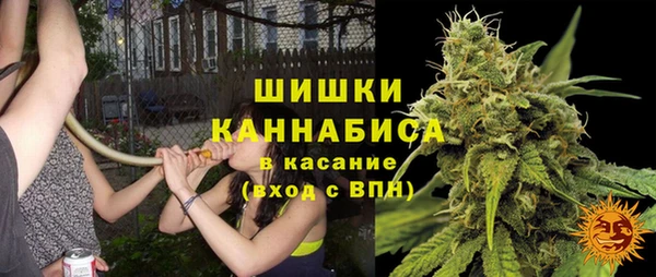 амф Новокубанск