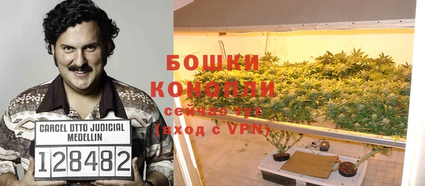 амф Новодвинск