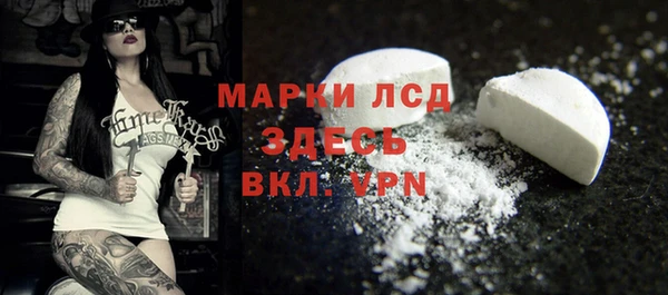амф Новодвинск