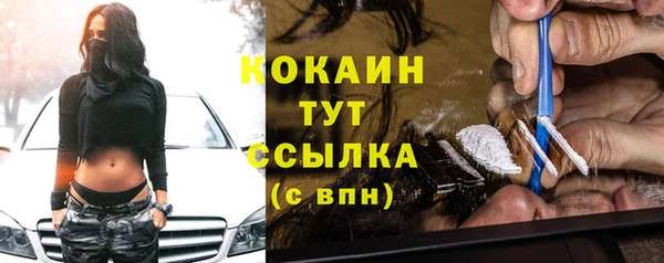 амф Новодвинск