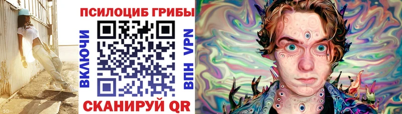 Псилоцибиновые грибы мухоморы  где можно купить   Пошехонье 